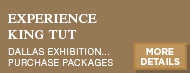 Experience King Tut